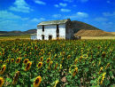 Derelict Farmhouse